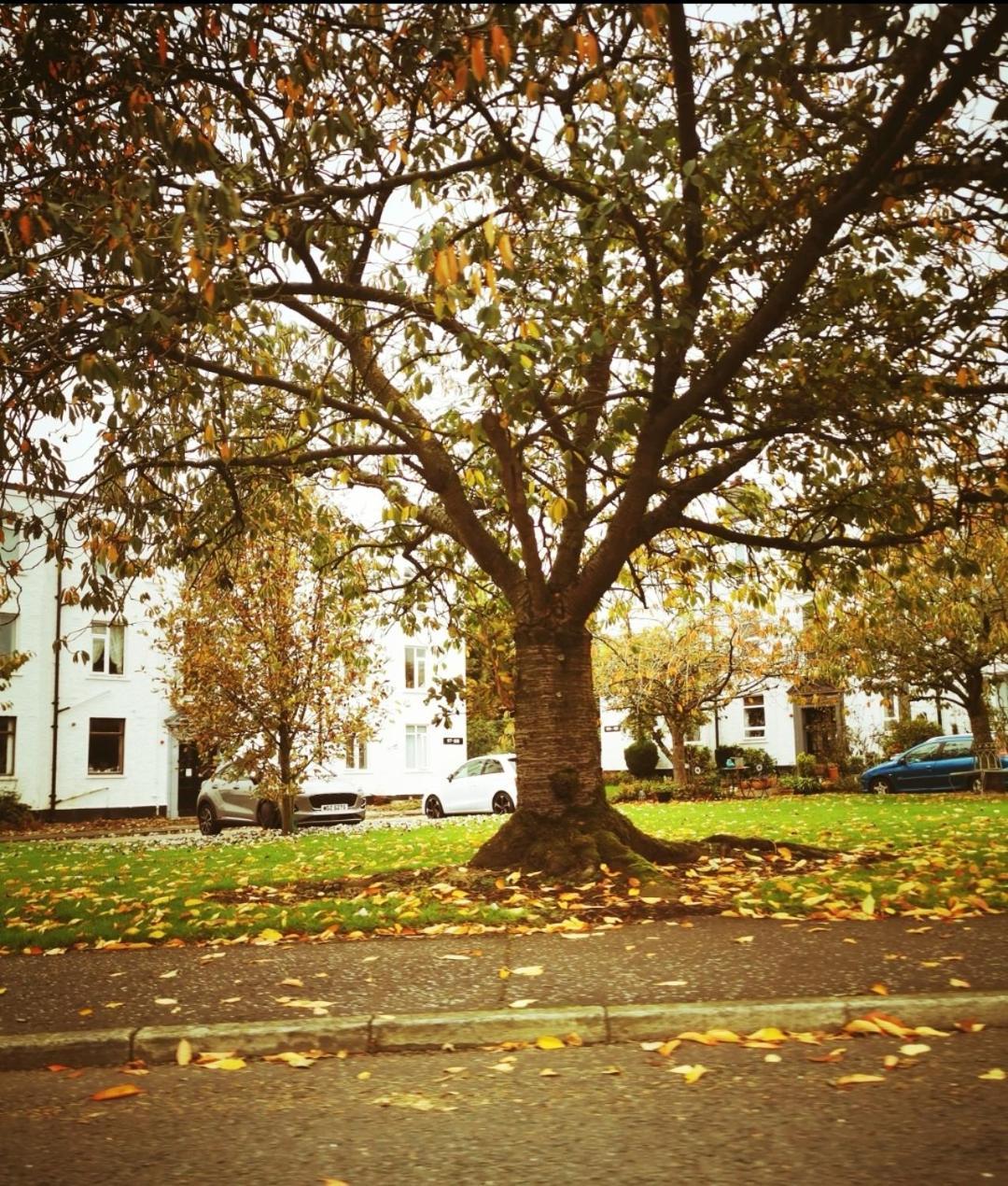 Entire 1 Bed Spacious Apartment, Private Balcony & Study Room Near City Whitehouse  Exterior photo